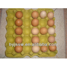 Recycle Paper Egg Tray Factory